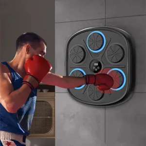 Music Boxing Target Training Wall Target Fitness Equipment