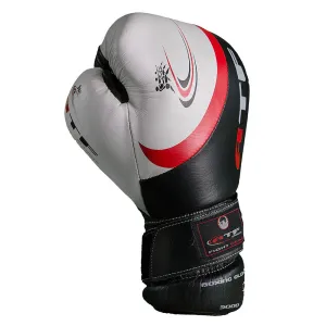 Poly Boxing Gloves